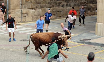 Multitudinario primer toro ensogado en las fiestas de Lodosa 2026 este viernes 18 de septiembre