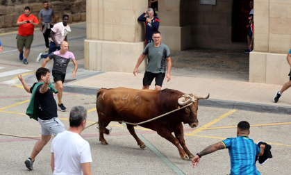 Multitudinario primer toro ensogado en las fiestas de Lodosa 2026 este viernes 18 de septiembre