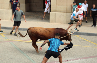 Multitudinario primer toro ensogado en las fiestas de Lodosa 2026 este viernes 18 de septiembre