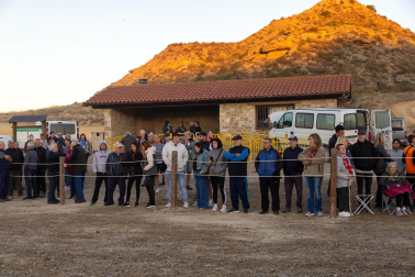 Tradicional acto de entrada de los rebaños de ovejas a Bardenas Reales