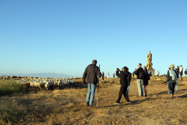 Tradicional acto de entrada de los rebaños de ovejas a Bardenas Reales