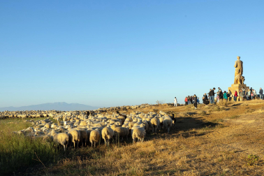 Tradicional acto de entrada de los rebaños de ovejas a Bardenas Reales