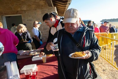 Tradicional acto de entrada de los rebaños de ovejas a Bardenas Reales
