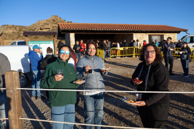 Tradicional acto de entrada de los rebaños de ovejas a Bardenas Reales