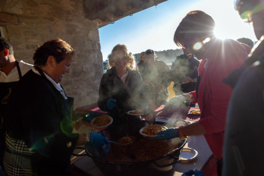 Tradicional acto de entrada de los rebaños de ovejas a Bardenas Reales