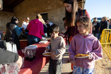 Tradicional acto de entrada de los rebaños de ovejas a Bardenas Reales