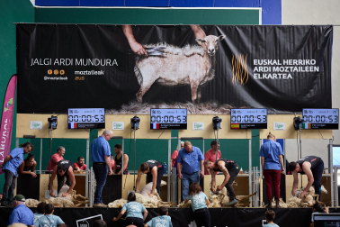 Campeonato mundial de esquileo en Elizondo