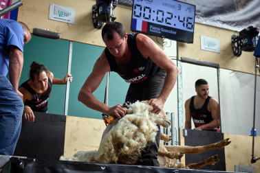 Campeonato mundial de esquileo en Elizondo