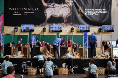 Campeonato mundial de esquileo en Elizondo