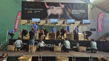 Campeonato mundial de esquileo en Elizondo