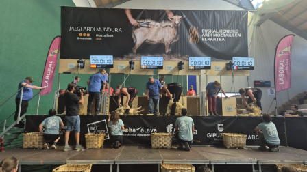 Campeonato mundial de esquileo en Elizondo