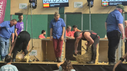 Campeonato mundial de esquileo en Elizondo