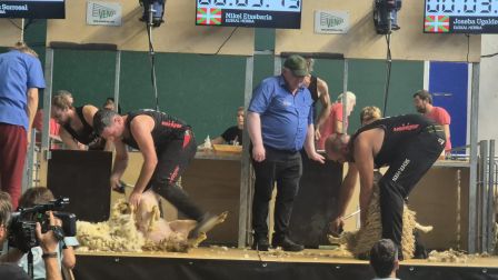 Campeonato mundial de esquileo en Elizondo