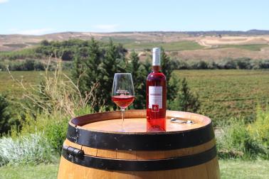 Mediodia de Bodega Inurrieta