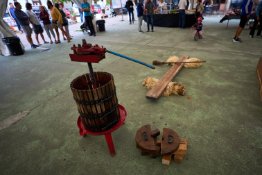 Fotos del Día de la Sidra Navarra 2026 en Lekunberri