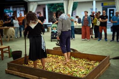 Fotos del Día de la Sidra Navarra 2026 en Lekunberri