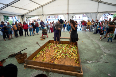 Fotos del Día de la Sidra Navarra 2026 en Lekunberri