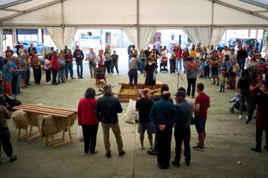 Fotos del Día de la Sidra Navarra 2026 en Lekunberri