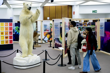 exposición 'Color. Una explosión de ciencia',