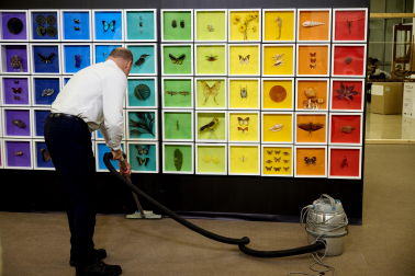 exposición 'Color. Una explosión de ciencia',