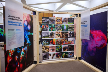 exposición 'Color. Una explosión de ciencia',