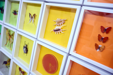 exposición 'Color. Una explosión de ciencia',