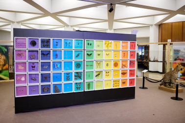exposición 'Color. Una explosión de ciencia',