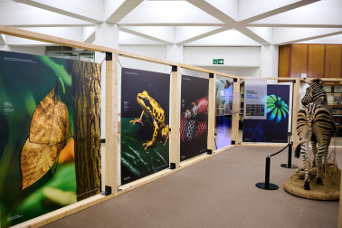 exposición 'Color. Una explosión de ciencia',
