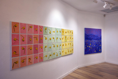 exposición 'Color. Una explosión de ciencia',