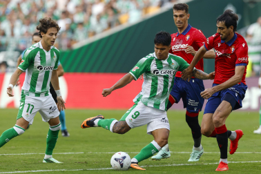 Fotos del Betis - Osasuna de la jornada 8