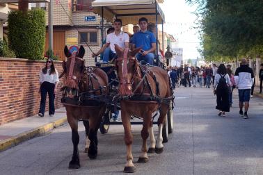 Marcilla acogió este lunes, 12 de octubre, la Feria del Caballo Benito Aguerri en una jornada soleada donde se dieron cita exhibiciones ecuestres y los puestos de alimentación