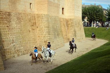 Marcilla acogió este lunes, 12 de octubre, la Feria del Caballo Benito Aguerri en una jornada soleada donde se dieron cita exhibiciones ecuestres y los puestos de alimentación