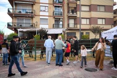 Marcilla acogió este lunes, 12 de octubre, la Feria del Caballo Benito Aguerri en una jornada soleada donde se dieron cita exhibiciones ecuestres y los puestos de alimentación