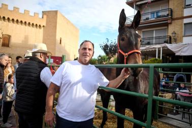 Marcilla acogió este lunes, 12 de octubre, la Feria del Caballo Benito Aguerri en una jornada soleada donde se dieron cita exhibiciones ecuestres y los puestos de alimentación