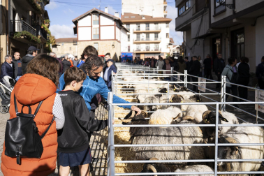 Feria de ganado de Alsasua