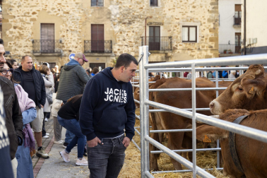 Feria de ganado de Alsasua