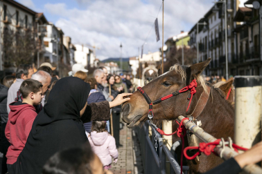 Feria de ganado de Alsasua