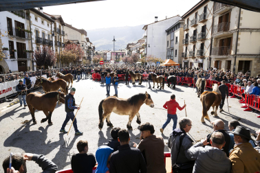 Feria de ganado de Alsasua