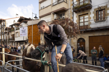Feria de ganado de Alsasua