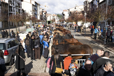 Feria de ganado de Alsasua