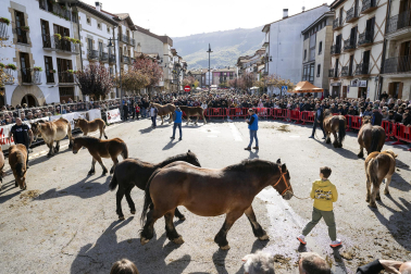 Feria de ganado de Alsasua