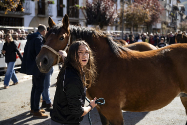 Feria de ganado de Alsasua