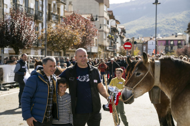 Feria de ganado de Alsasua