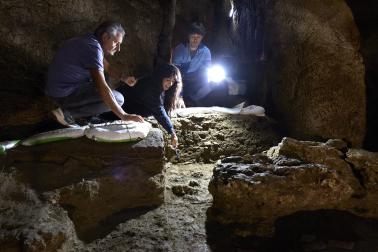 Foto de los restos humanos más antiguos hasta la fecha en Navarra