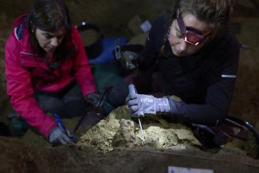 Foto de los restos humanos más antiguos hasta la fecha en Navarra