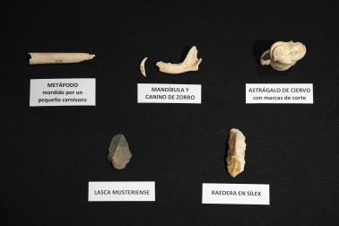 Fotos de los restos humanos más antiguos hasta la fecha encontrados en Navarra en la cueva de Abauntz
