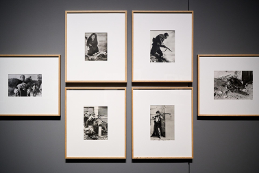 Fotos de la presentación de nuevas exposiciones del Museo Universidad de Navarra