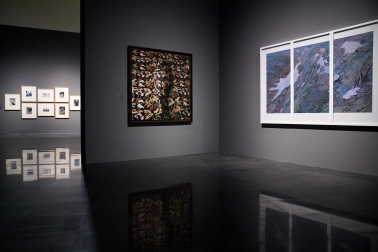 Fotos de la presentación de nuevas exposiciones del Museo Universidad de Navarra