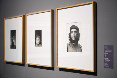 Fotos de la presentación de nuevas exposiciones del Museo Universidad de Navarra