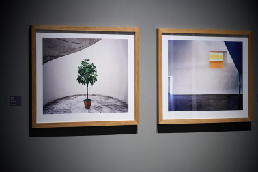 Fotos de la presentación de nuevas exposiciones del Museo Universidad de Navarra